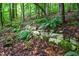 Moss-covered stone retaining wall covered in lush ferns and foliage on a wooded lot at 708 October Woods Rd, Chapel Hill, NC 27516
