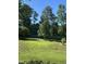 Large grassy backyard bordered by a wood fence and mature trees at 75 Mountainside Ln, Sanford, NC 27332