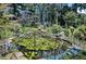 Lush backyard pond featuring various plants, a Buddha statue, and a rock border, creating a serene outdoor oasis at 8156 Nc 42 Hwy W, Kenly, NC 27542