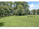Well-maintained yard with mature trees providing shade, creating a serene and private outdoor space at 8156 Nc 42 Hwy W, Kenly, NC 27542