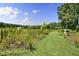 Expansive yard with lush greenery and clear blue skies, offering a peaceful and serene outdoor space at 8156 Nc 42 Hwy W, Kenly, NC 27542