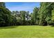 A sprawling green lawn, surrounded by mature trees, offering privacy and plenty of space for outdoor activities at 104 Benedict Ln, Raleigh, NC 27614