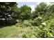 Expansive backyard featuring a lush lawn, mature trees, and attractive garden areas at 109 Perry Farms Dr, Apex, NC 27502