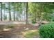 Relaxing backyard featuring mature trees and a comfortable hammock for peaceful outdoor enjoyment at 11217 Maplecroft Ct, Raleigh, NC 27617