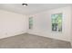 Spacious bedroom with carpeted floors and abundant natural light from two windows at 1209 Waterford Green Dr, Apex, NC 27502