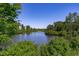 Scenic lake view surrounded by lush greenery and trees, showcasing a serene natural setting at 128 Arvind Oaks Cir, Cary, NC 27519
