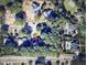 An aerial view of a neighborhood, with a variety of different styles of homes at 1305 Lennox Pl, Raleigh, NC 27612