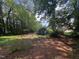 Wooded backyard with lots of green foliage, offering a private and tranquil setting at 1305 Lennox Pl, Raleigh, NC 27612