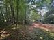 A heavily wooded backyard with dense trees providing lots of shade and privacy at 1305 Lennox Pl, Raleigh, NC 27612