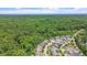 Aerial of a neighborhood close to a sprawling green forest at 1342 Briar Chapel Pkwy, Chapel Hill, NC 27516
