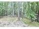 Beautiful backyard with mature trees, a privacy fence, and lush ground cover at 142 College Ave Ave, Durham, NC 27713