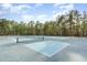 Community tennis and pickleball courts with lush surrounding trees and cloudscape at 216 Captain Harbor Hbr, Sanford, NC 27332