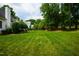 Large, green backyard lawn extending between homes, bordered by trees and foliage at 3021 Glenwood Dr, Durham, NC 27705