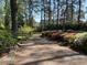 Picturesque garden pathway with colorful azaleas and mature trees in a tranquil setting at 36A Country Club Dr, Rocky Mount, NC 27804