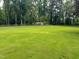 Large, manicured backyard with lush greenery, offering plenty of space for outdoor activities and relaxation at 6553 Vintage Ridge Ln, Fuquay Varina, NC 27526