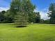 Expansive front yard with lush green grass and mature trees, showcasing the property's curb appeal and serene setting at 6553 Vintage Ridge Ln, Fuquay Varina, NC 27526