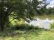 Lush backyard view showcases a pond surrounded by greenery and a rocky embankment at 186 St. Andrews Ln, Chapel Hill, NC 27517