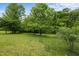 Backyard with lush green grass and mature trees at 2067 Glenkirk Dr, Burlington, NC 27215