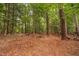 Lush and mature landscaping on lot provides ultimate privacy at 2724 Glastonbury Rd, Apex, NC 27539