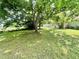 Grassy backyard with mature trees, leading to a fenced in deck area at 304 Sandalwood Ave, Louisburg, NC 27549