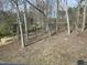A wooded backyard with bare trees and a hill at 309 Wyatts Pond Lane, Cary, NC 27513