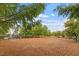 Community park with mature trees and a playground, offering a natural setting for outdoor activities at 4120 Overcup Oak Ln, Cary, NC 27519