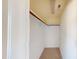 Walk-in closet with carpeted flooring and built-in shelving for optimal storage and organization at 421 Old Ride Dr, Holly Springs, NC 27540