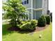 Lush landscaping with vibrant green shrubs and mulch beds, adding to the home's curb appeal at 421 Old Ride Dr, Holly Springs, NC 27540