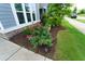 Beautifully landscaped yard with blooming roses and lush greenery, enhancing the curb appeal of the home at 421 Old Ride Dr, Holly Springs, NC 27540