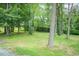 Lush green backyard with mature trees at 7030 Stockard Rd, Snow Camp, NC 27349