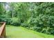 Wooded backyard features lush greenery at 7030 Stockard Rd, Snow Camp, NC 27349