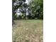 Expansive backyard with mature trees at 108 Herbert St, Durham, NC 27703