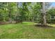 Large backyard surrounded by mature trees, perfect for outdoor activities and relaxation at 1218 Chimney Hill Dr, Apex, NC 27502