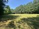 A lot of land featuring a bright grassy field surrounded by tall pine trees on a sunny day at 1355 Sykes Rd, Spring Hope, NC 27882