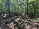 A beautiful wooded lot featuring lots of tall trees perfect for building your dream home at 1355 Sykes Rd, Spring Hope, NC 27882
