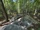Beautiful wooded lot featuring large rock formations and trees, perfect for nature enthusiasts at 1355 Sykes Rd, Spring Hope, NC 27882