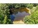 Aerial view of a pond surrounded by lush greenery, dock, and lounge area at 1355 Sykes Rd, Spring Hope, NC 27882