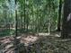 Beautiful wooded lot with dense trees and fallen leaves creating a serene and secluded environment at 1355 Sykes Rd, Spring Hope, NC 27882