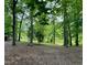 A wooded lot leading to a lake view at 200 Greensview Dr, Cary, NC 27518