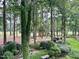Secluded backyard featuring mature trees, lush greenery, and a peaceful setting at 200 Greensview Dr, Cary, NC 27518