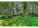 Well-maintained backyard featuring mature trees, green grass, and lush landscaping at 200 Greensview Dr, Cary, NC 27518