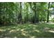 Large private backyard showcasing mature trees that provide ample shade, creating a tranquil outdoor retreat at 4601 Basilica Dr, Holly Springs, NC 27540