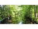 Scenic pond view surrounded by lush green trees and foliage at 4601 Basilica Dr, Holly Springs, NC 27540