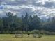 Community picnic area with two picnic tables and a grill surrounded by trees at 59 Pine Vista Way, Sanford, NC 27332