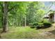 Expansive backyard with lush greenery surrounding the perimeter of the property at 7605 Sandy Lake Ct, Raleigh, NC 27613