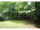 Spacious backyard with mature trees and lush greenery, perfect for outdoor activities at 116 Trinity Woods Dr, Raleigh, NC 27607