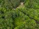 Secluded home surrounded by lush greenery in a serene aerial view at 145 Ryan Rd, Pittsboro, NC 27312