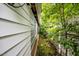 View of the side of the house and the bushes growing alongside it at 303 N Watauga Ave, Dunn, NC 28334