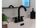 Modern black faucet on vanity with quartz countertop, undermount sink and greenery at 3713 Highland Creek Dr, Apex, NC 27539