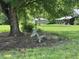 Wooden deer statue beneath a large tree with barns visible in the background, creating a rustic scene at 526 Bob Rainey Trl, Burlington, NC 27217